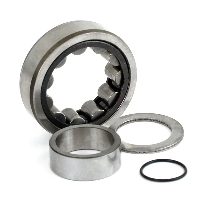 Bearing Assy, Cam. Rear. Outer Harley-Davidson