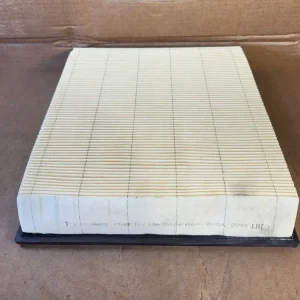 Actief kool Air Filter P536429