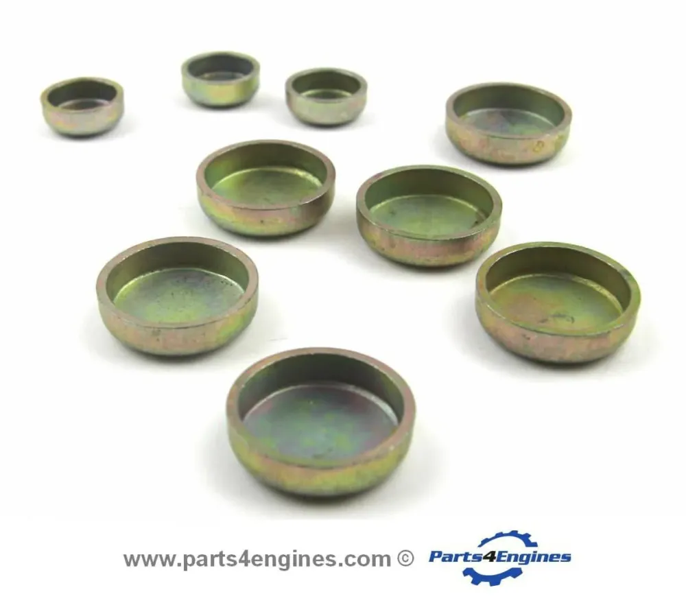 Perkins 4.107 Core Plug Set