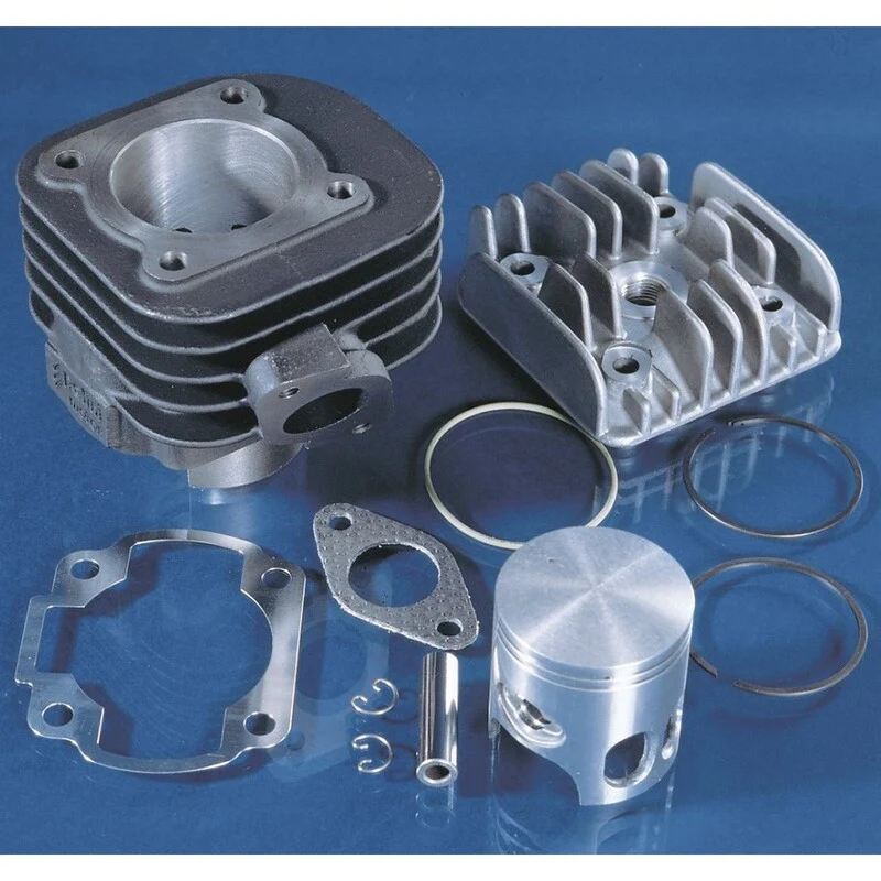Kit Polini YAMAHA AXIS,JOG-MALAGUTI F10,F12 AIR (1660076)