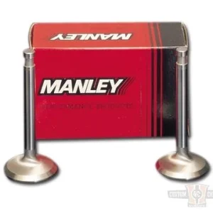 Severe Duty Intake Valve Harley-Davidson