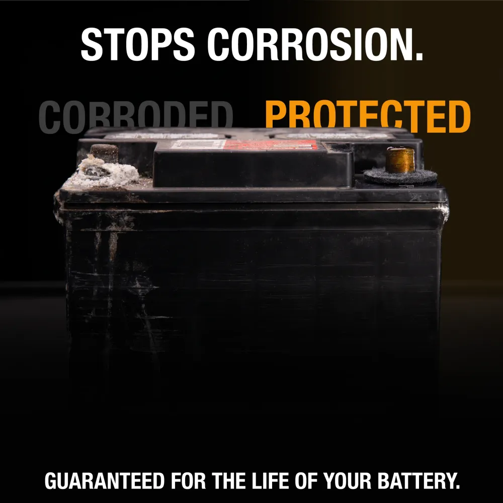 Batterij Houder NOCO Battery Treatment Kit