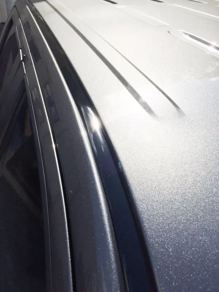 2015-2020 Ford F150 Zwart Roof Top Trim Molding Kit