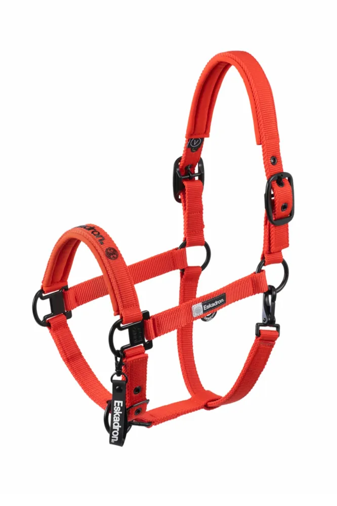Dynamics AW25 Tweeling Pin Headcollar Red SHP met Garantie