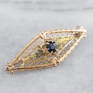 Gasdruk schokdemper Two Tone Gouden Art Nouveau Era Sapphire Pin