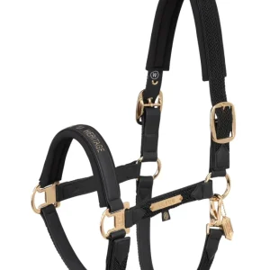 Heritage AW24 Faux Leer Double Pin Headcollar Softshell Black SHP