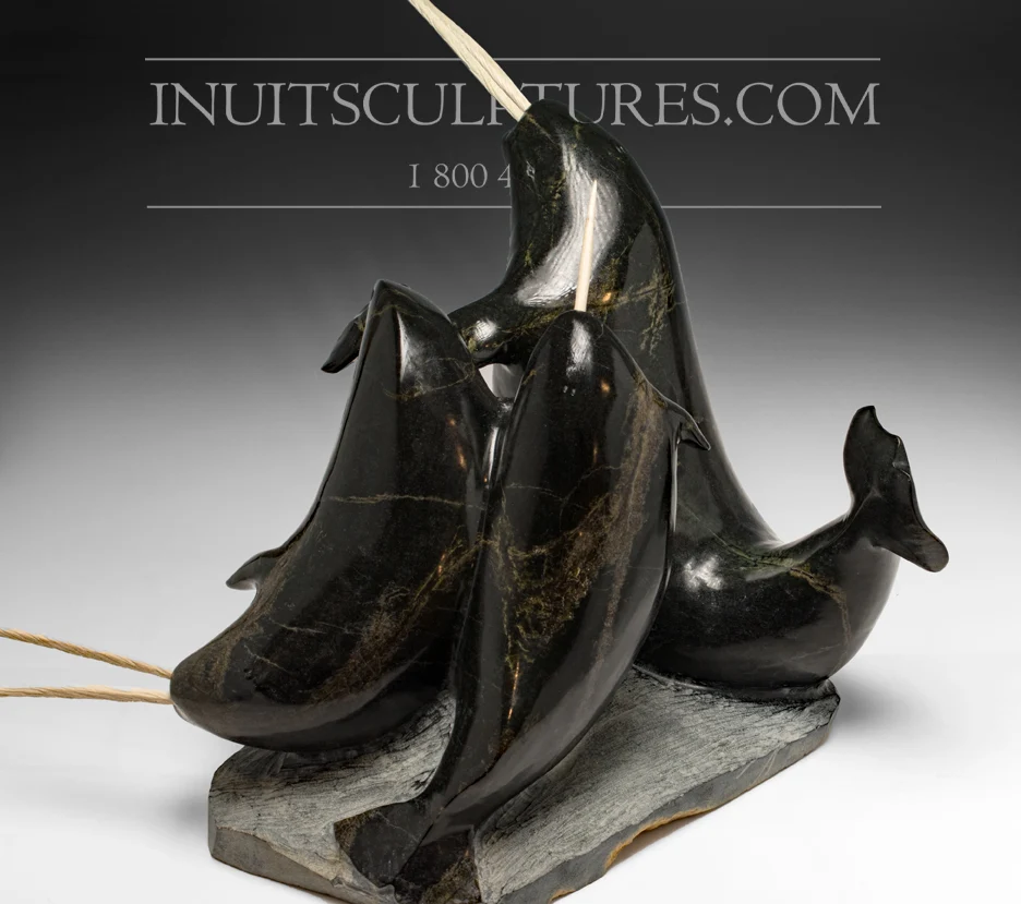 Masterpiece 22" 60 Lbs School Dubbel Tusk Narwhals Jaco Ishulutak