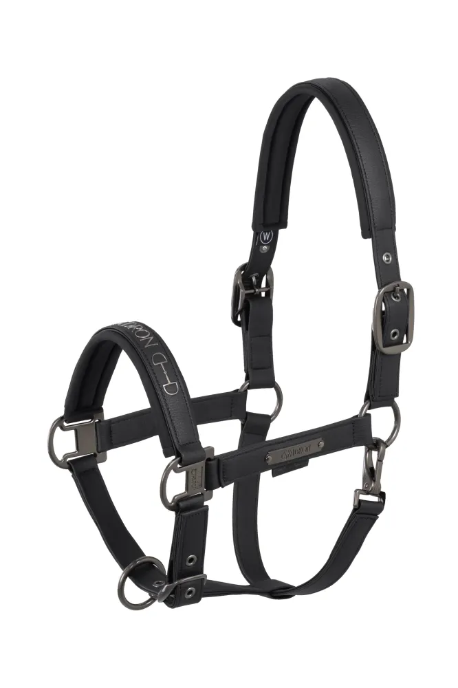 Platinum 25 Faux Leather Tweeling Pin Headcollar Black C