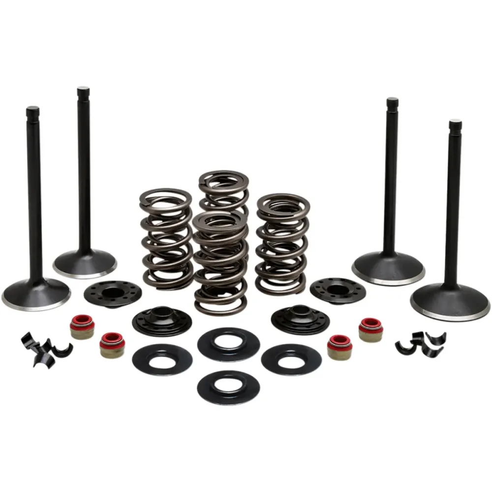 BLACK DIAMOND™ ENGINE VALVE KITS HARLEY DAVIDSON