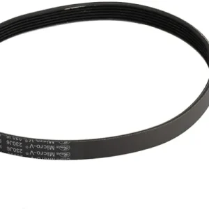 EGO 3800118001 V-Belt gepolijst roestvrij staal