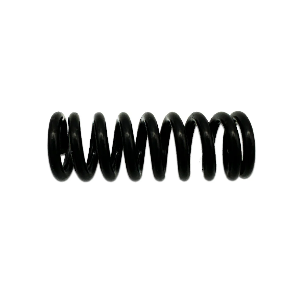Roestvrij Staal EGO 3660565001 Compression Spring