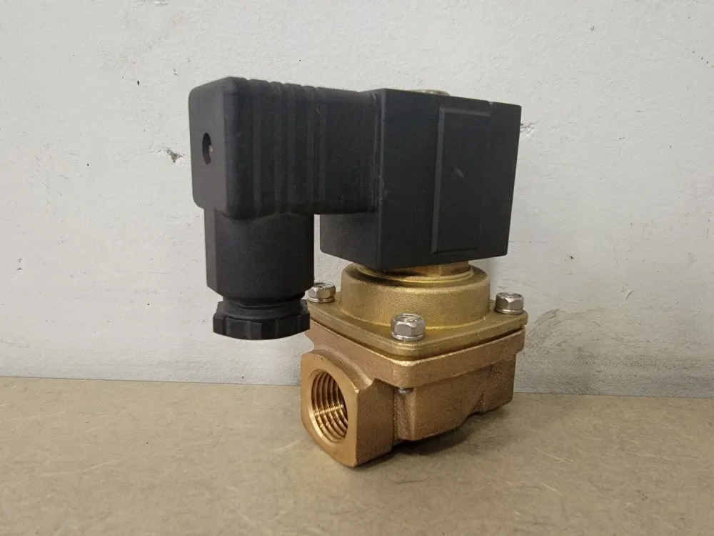 Solenoid Valve 30-VXZ2240-04N-2D