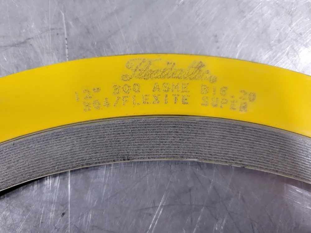 12" 300# 304/Flexite Super Spiral Wound Gasket Style CG