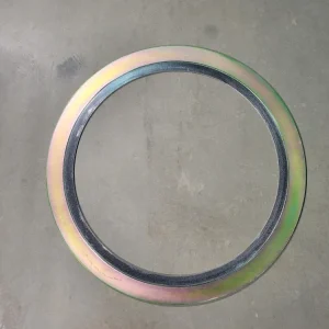 24" 600 CG Gasket
