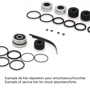 All-Weather RV Kit de reparación de amortiguador trasero BITUBO WZT / WAT / WAX