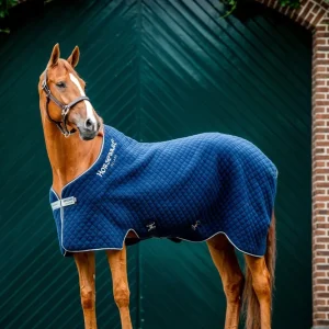 Autumn Cooler Navy/Navy 155
