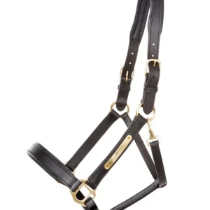 Echt leer halter Cinta black/black F