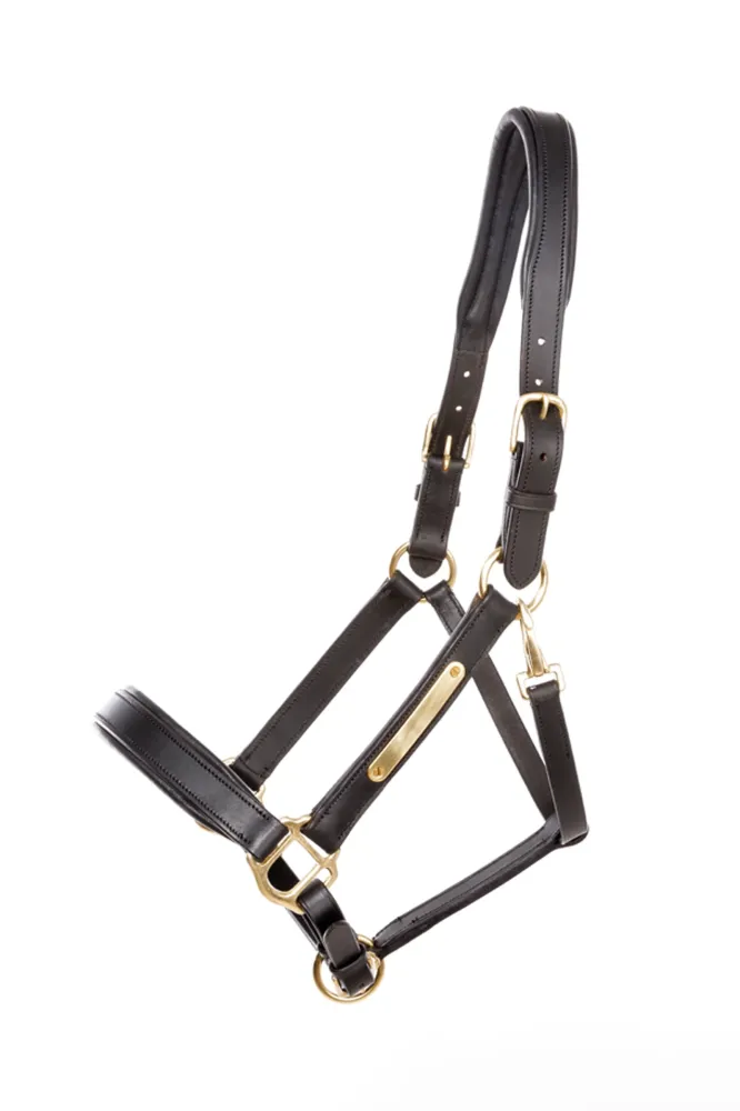 Echt leer halter Cinta black/black F