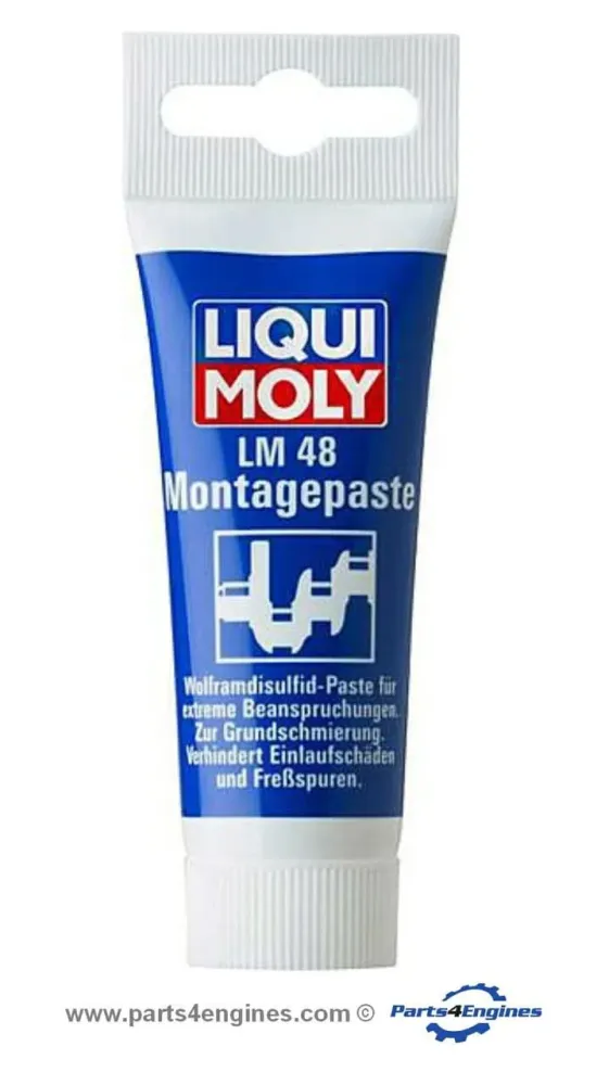 OEM Kwaliteit Liqui Moly Engine Assembly Paste (50g)