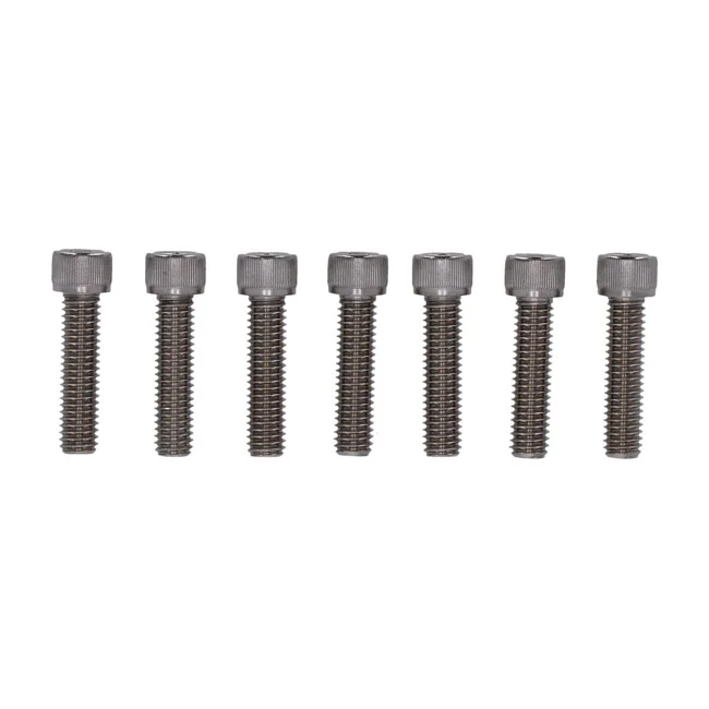 Kit De Tornillos Horquilla Delantera Para Harley Davidson