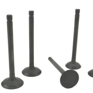 Perkins 403D-17 Series Cylinder Head Valve Set