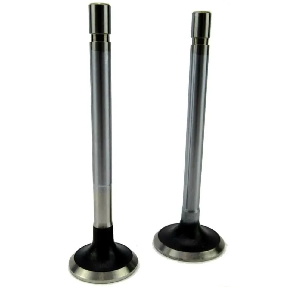 Volvo Penta 2001 Cylinder Head Valve Set