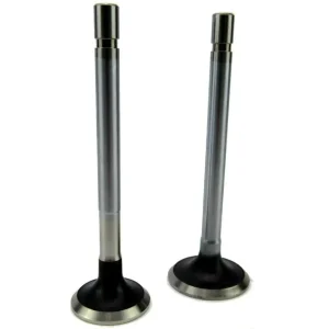 Volvo Penta 2001 Cylinder Head Valve Set