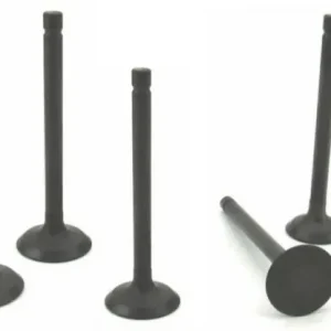 Volvo Penta D2-55 Cylinder Head Valve Set