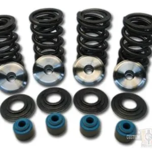 600 RACE SPRING KIT TIT RET Harley-Davidson