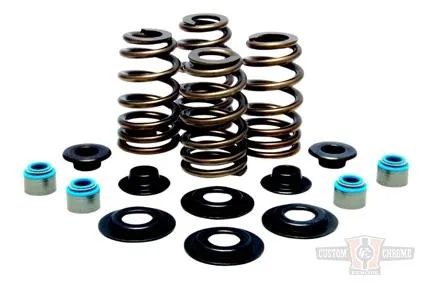 BEEHIVE VALVE SPRING KIT 600 Harley-Davidson