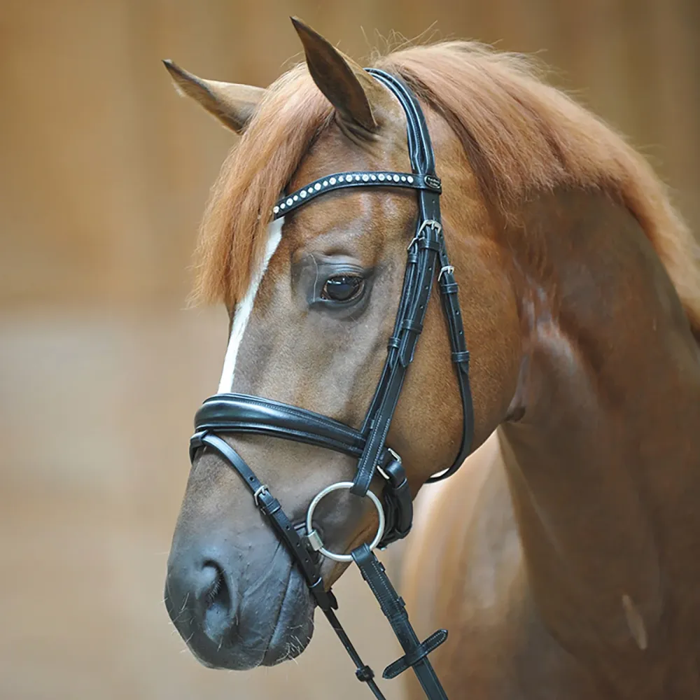 Race Bridle Mia, crank noseband w/ flash Zwart C