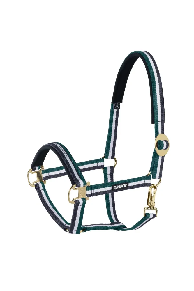 Ventilerend Halter sliding Buckle Racinggreen-White-Nightblue C