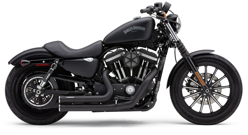 Escape Para Harley-Davidson Sportster Cobra Speedster Shorts RPT Ebbenhout Exhaust