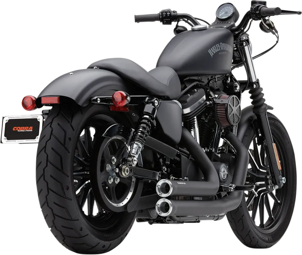 Escape Para Harley-Davidson Sportster Cobra Speedster Shorts RPT Ebbenhout Exhaust