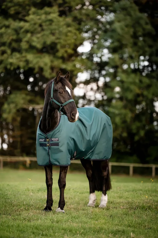 Amigo Ripstop 900D Turnout 0g Dynasty Green/Navy/Silver 125 met veiligheidskabel