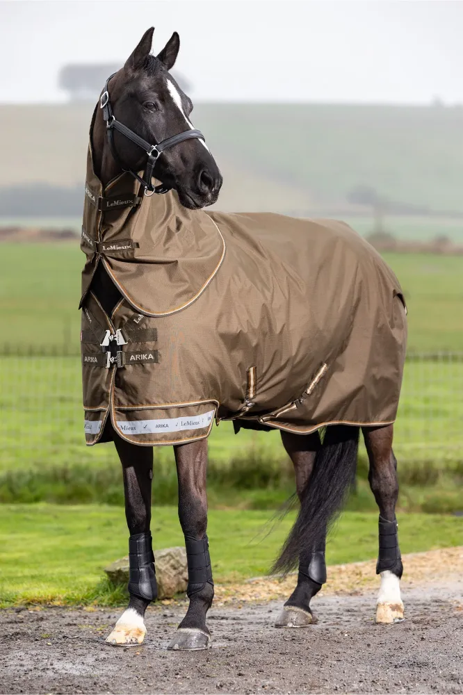 Arika Ripstop Turnout Rug Verwijderbaar Neck, 0 g Alpine 120