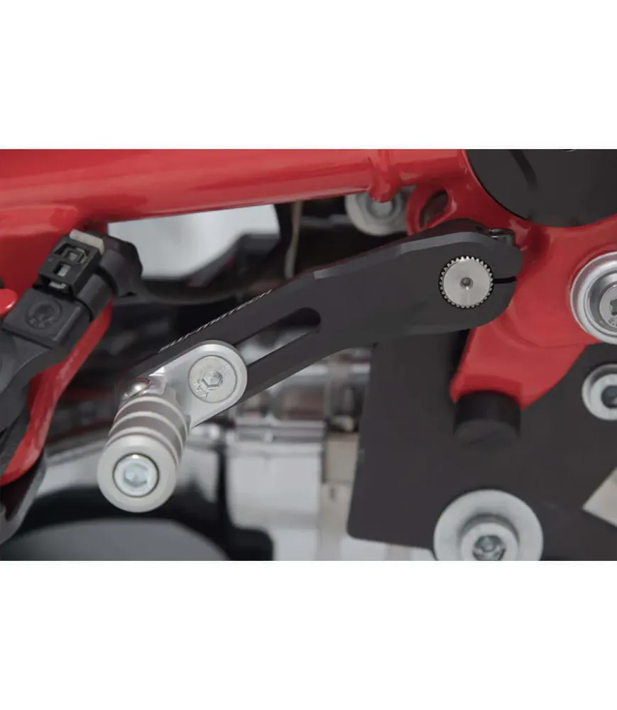 Gear Shift Pedal Aanpasbaar BMW R nineT (20-24)