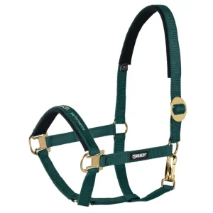 Halter sliding Buckle Racinggreen P