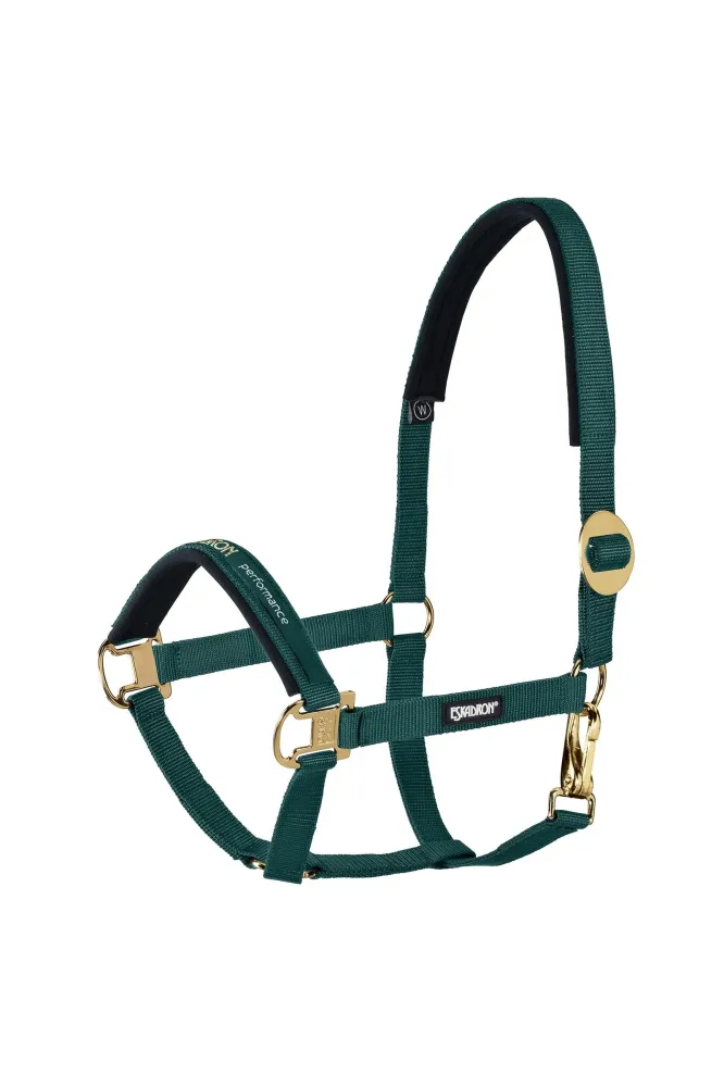 Halter sliding Buckle Racinggreen P