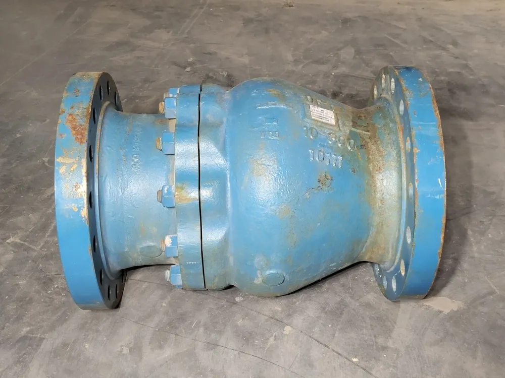10" Class 300 Flanged Check Valve B16.34