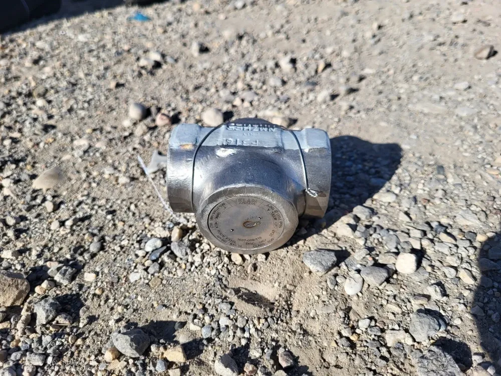 1" Class 800 Swing Check Valve B16.34
