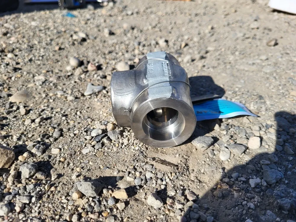 1" Class 800 Swing Check Valve B16.34