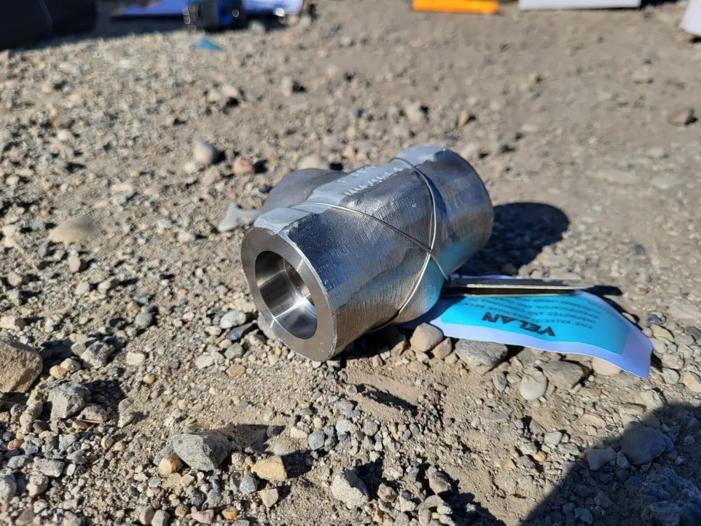 1" Class 800 Swing Check Valve B16.34