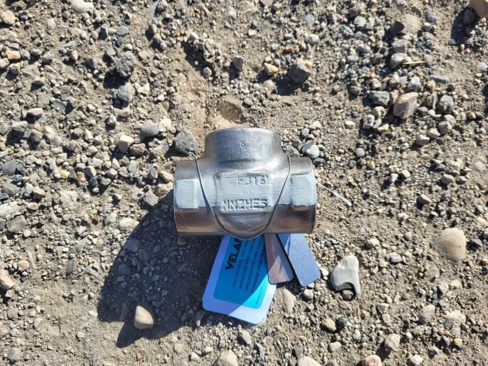 1" Class 800 Swing Check Valve B16.34