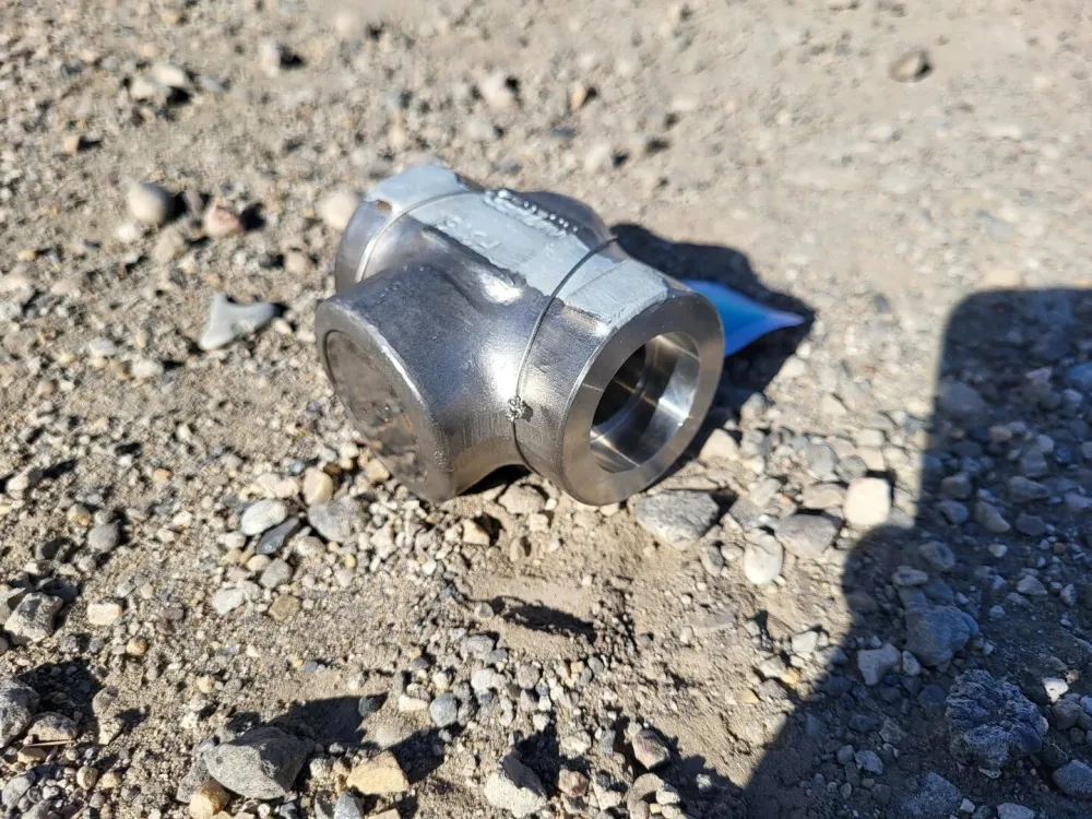 1" Class 800 Swing Check Valve B16.34