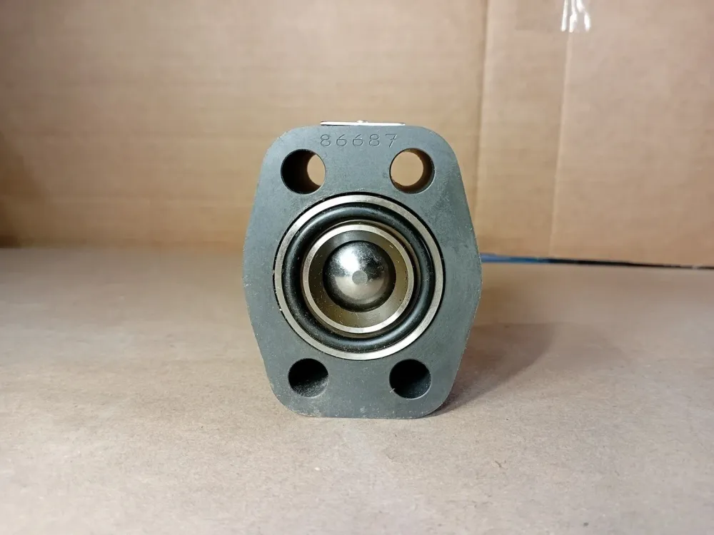 Check Valve R4150321