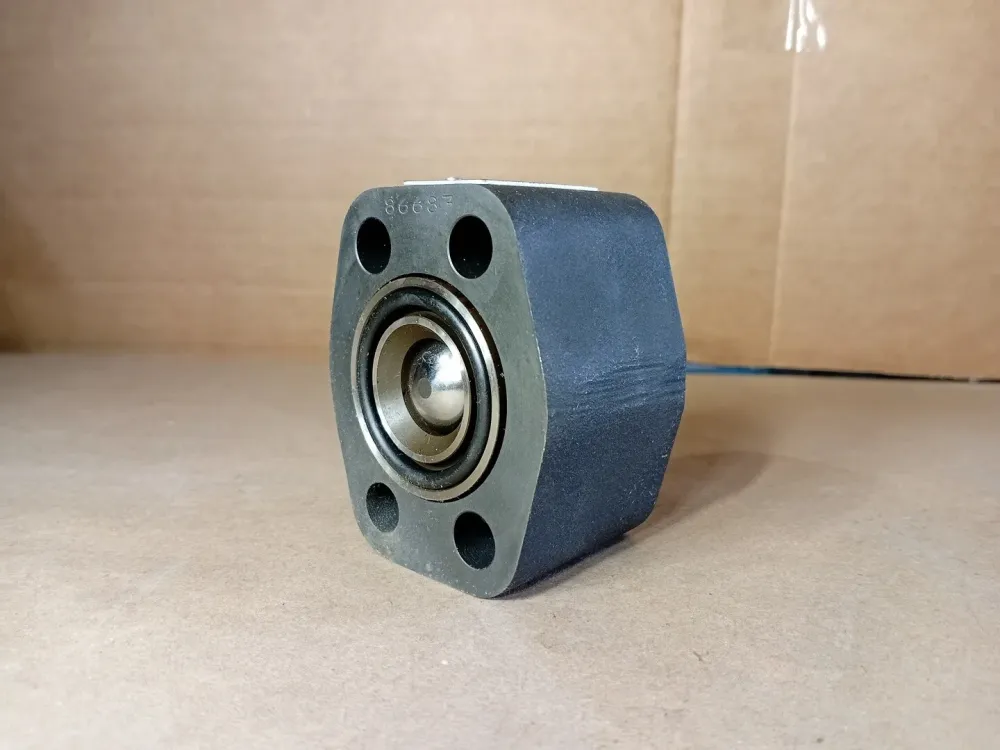 Check Valve R4150321