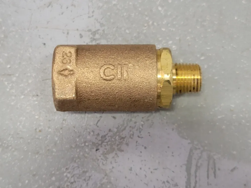 1/4" FNPT Threaded Brons Check Valve 90AR1138