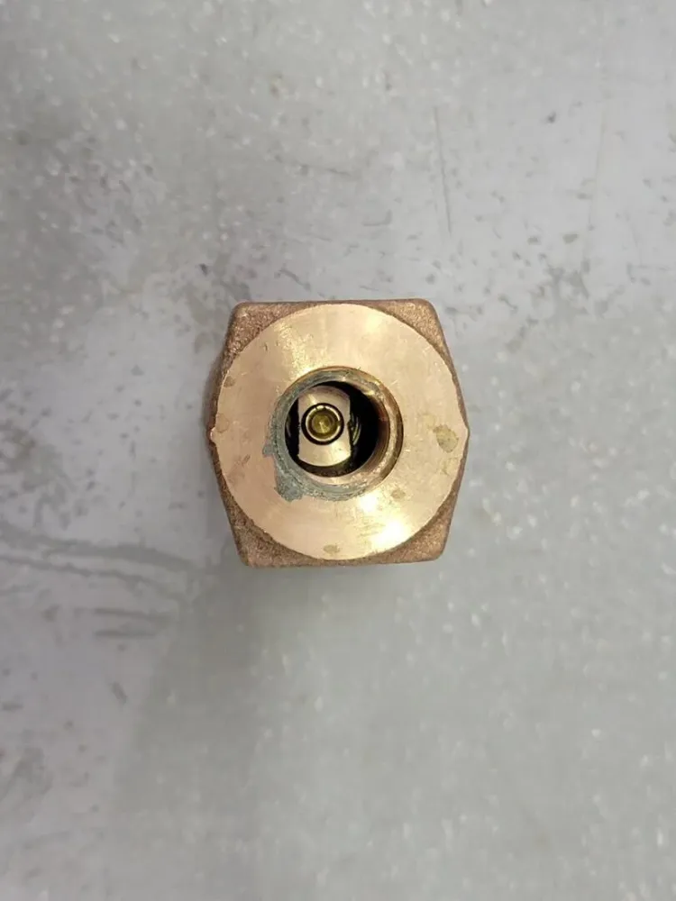 1/4" FNPT Threaded Brons Check Valve 90AR1138