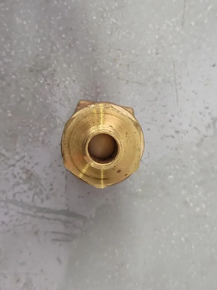1/4" FNPT Threaded Brons Check Valve 90AR1138